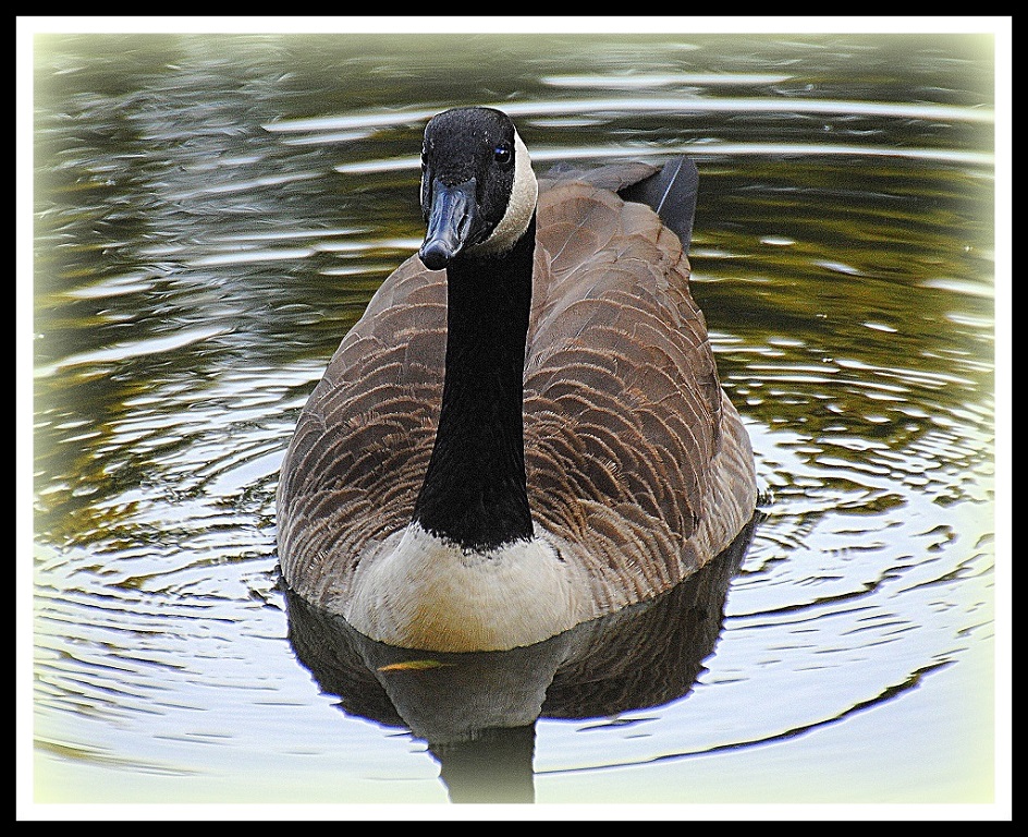 Print In Class B By Arthur Meole For Passing Time OCT-2018.jpg